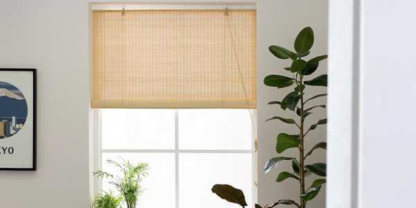 Bamboo roller blinds next to plants.